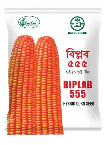 বিপ্লব-৫৫৫