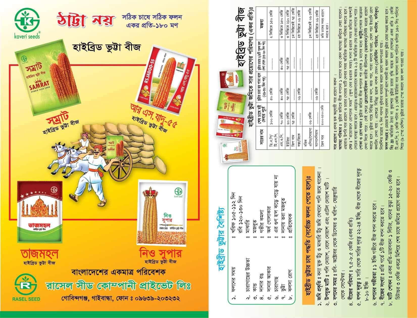 বিপ্লব-৫৫৫